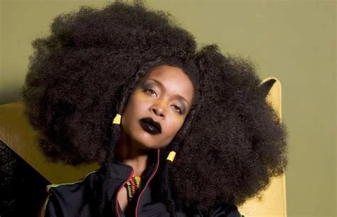 ERIKAH Badu au Grand REx 