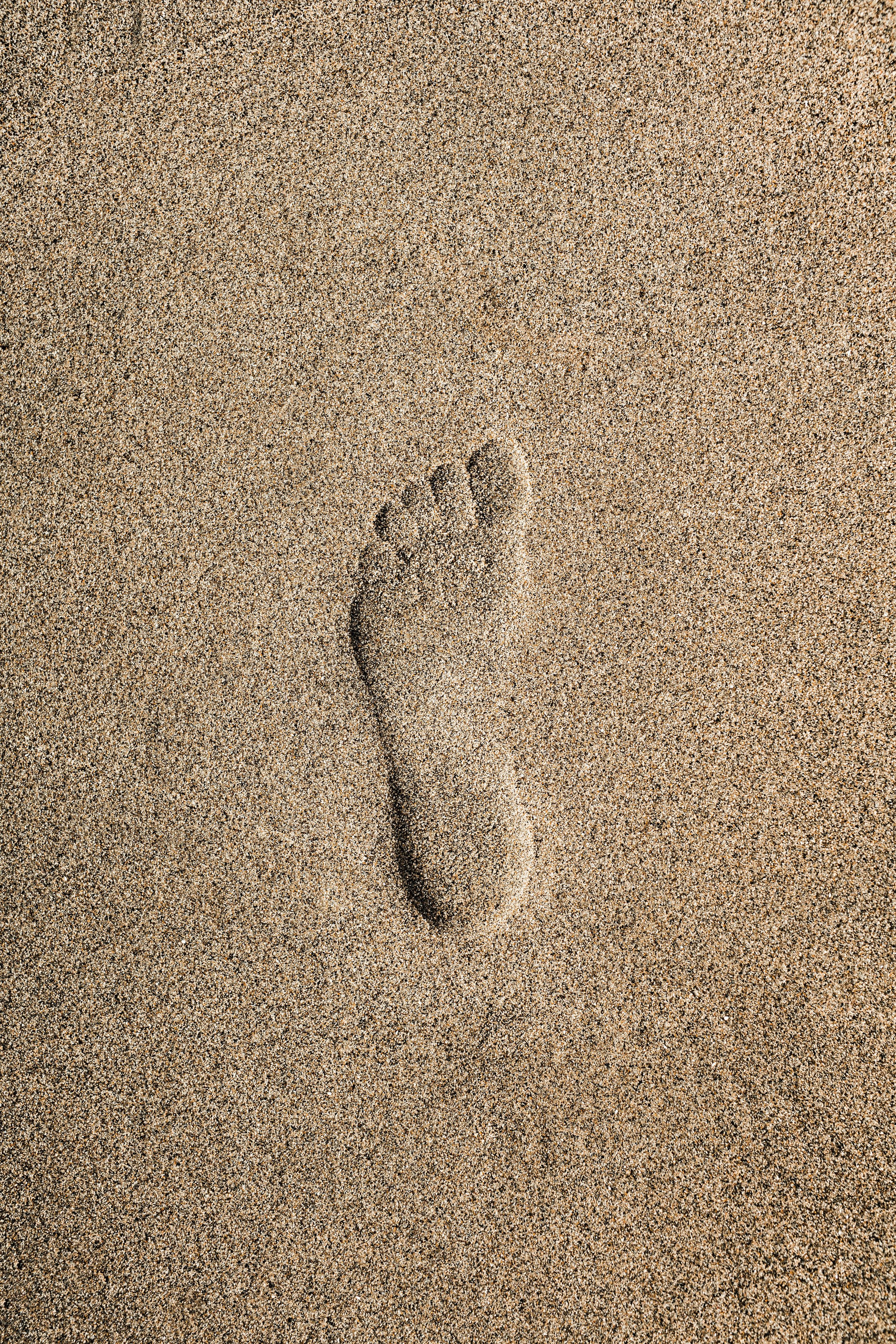The First Step - Complimentary | 15–20 Minutes