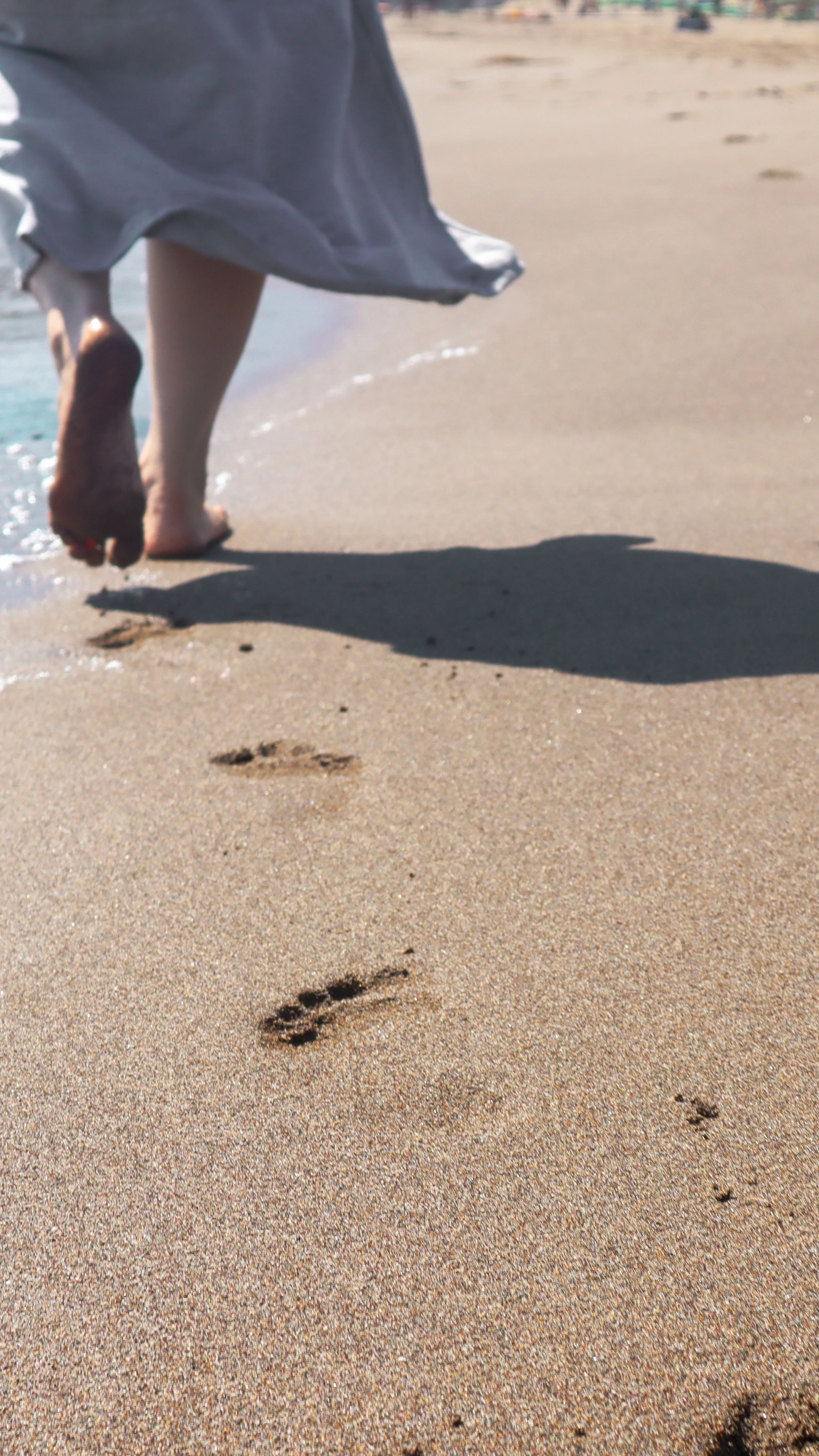 The Next Steps Consultation - 90 Minutes | $225