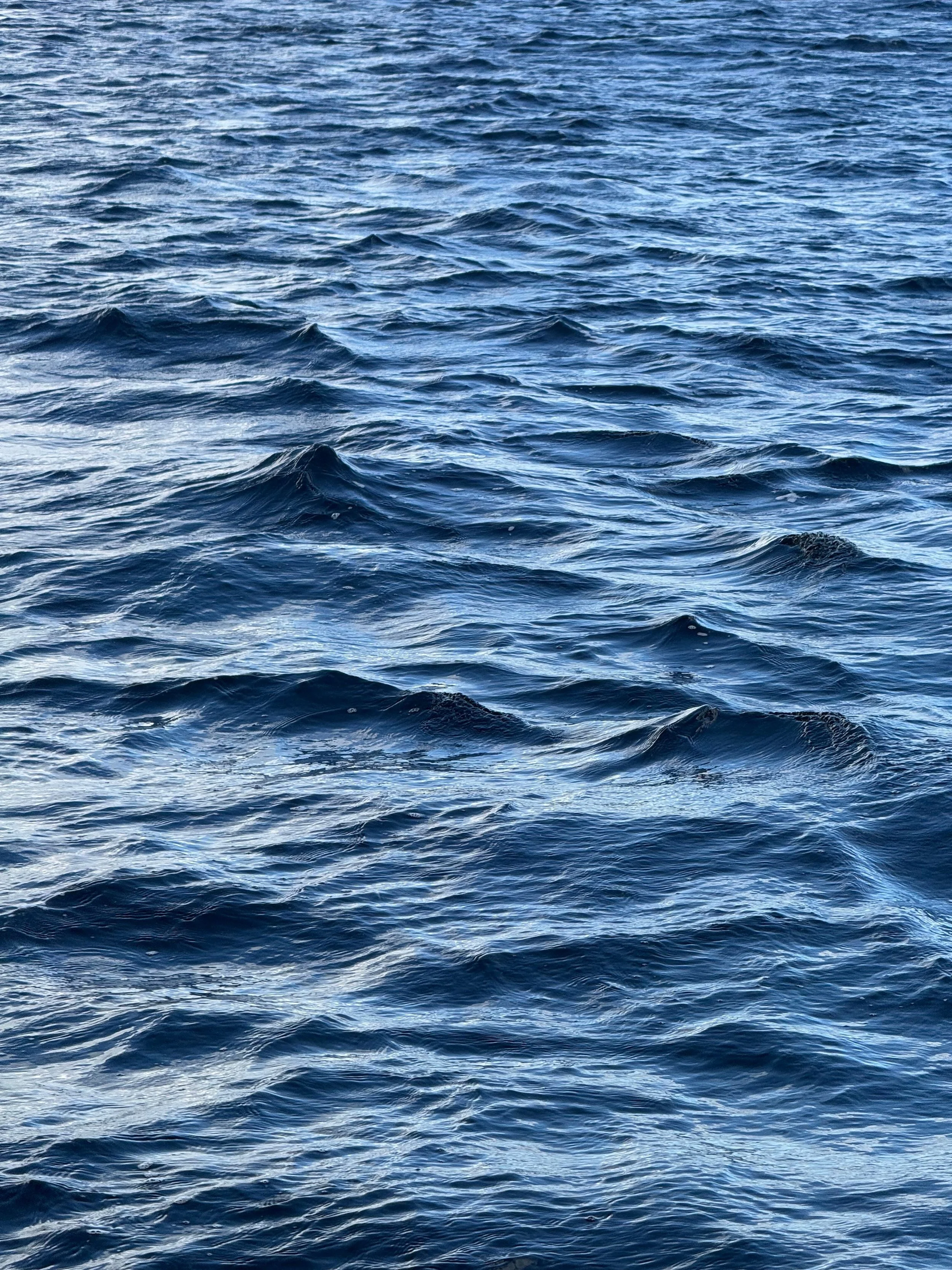 Steady Waters - $399/month