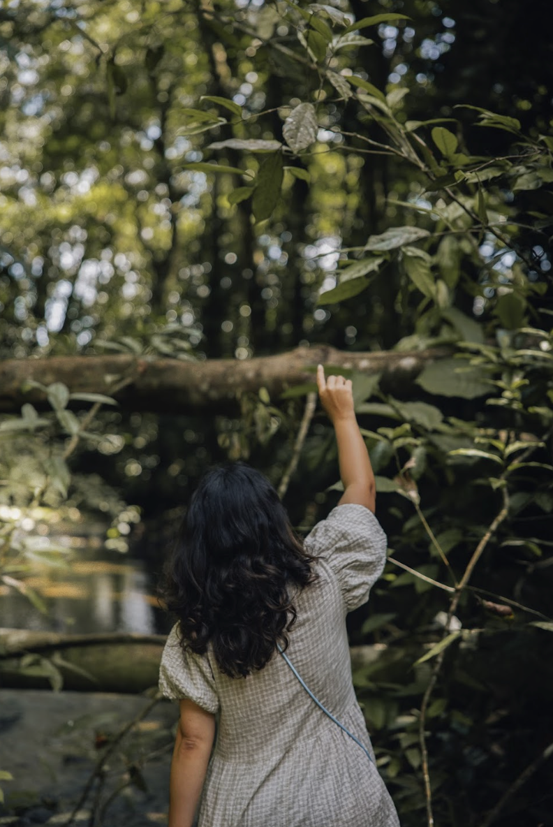 A young girl with curly black hair reaching up with her left hand toward a tree branch in a forest setting.