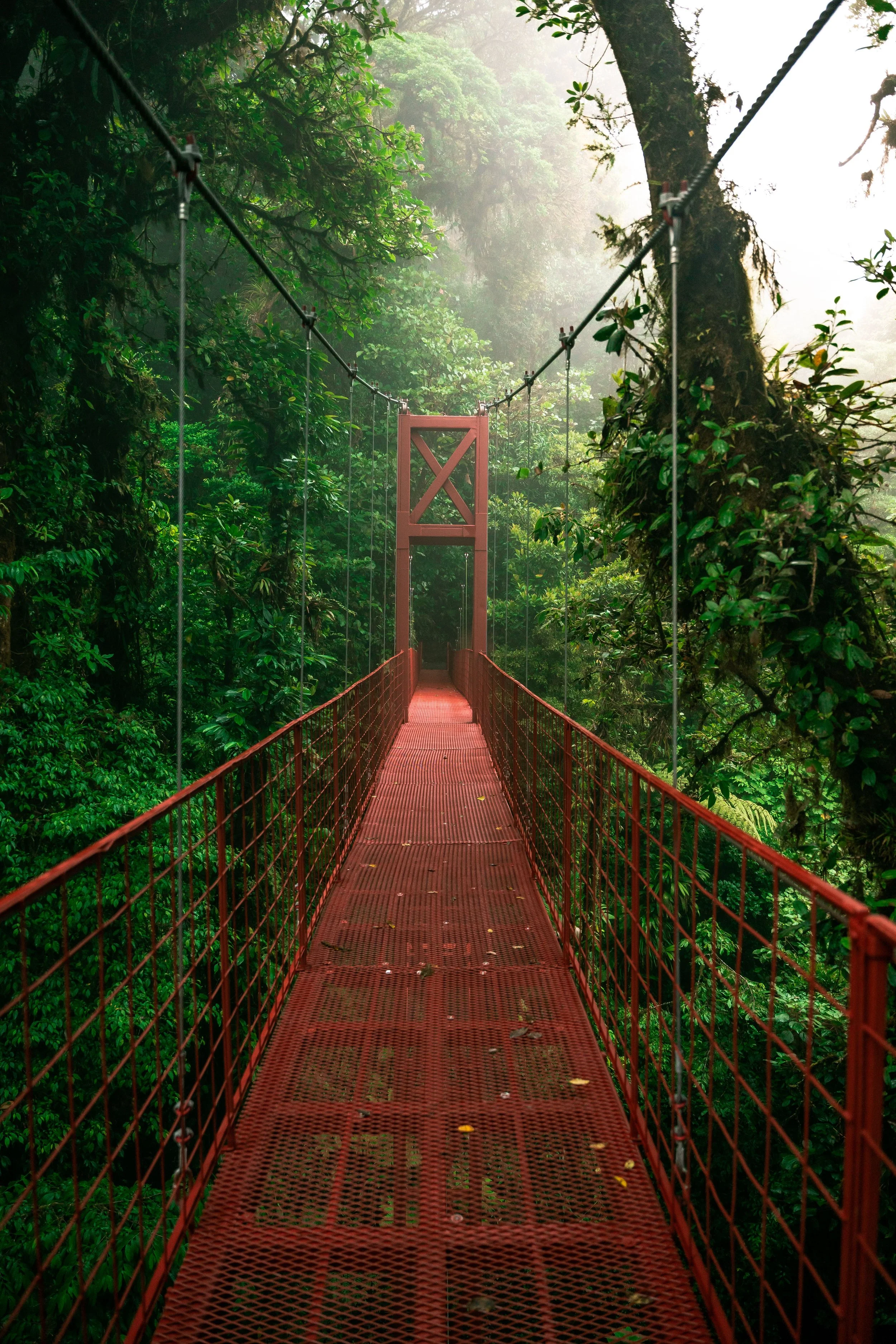 Red suspension bridge amidst dense green forest with foggy atmosphere.