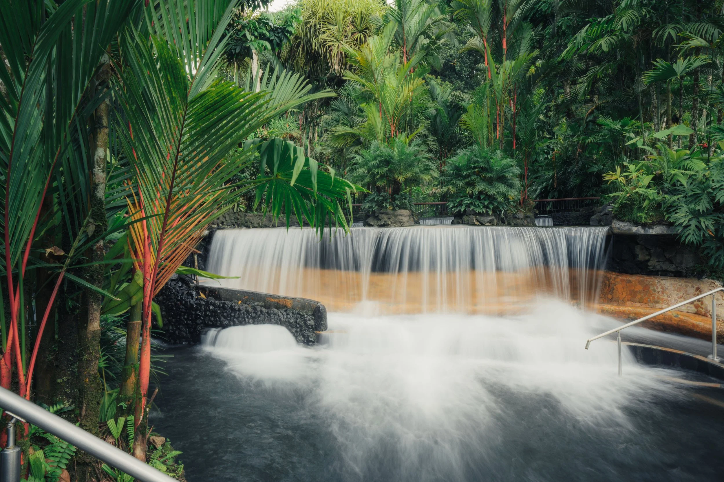 A lush tropical garden with dense green foliage and a small waterfall flowing over rocks into a pond.