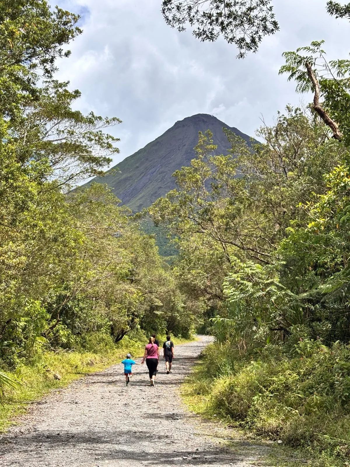 A family of four walking on a gravel trail through a lush green forest with a mountain in the background.