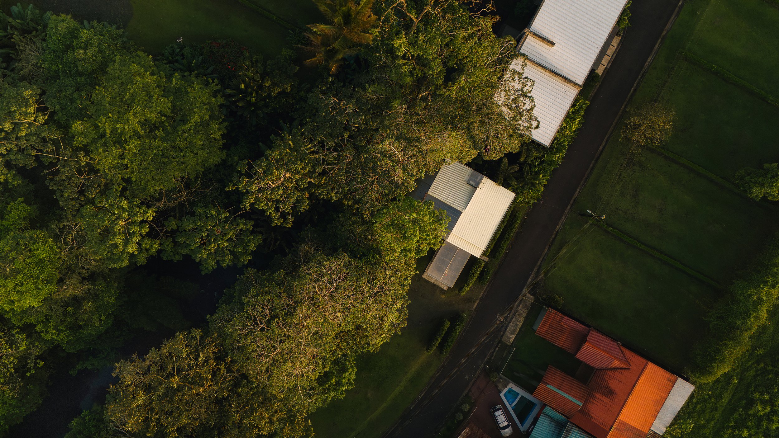 An aerial view of a lush green area with dense trees and rooftops of buildings, a narrow road, and a parked car.