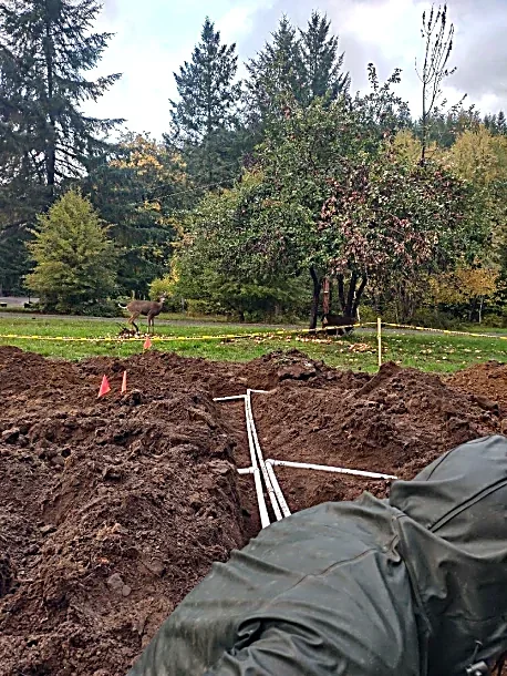 A person working on underground utilities or plumbing, with a trench dug in the ground and pipes laid inside it. In the background, there are trees, a grassy area, and a deer walking near the trees.