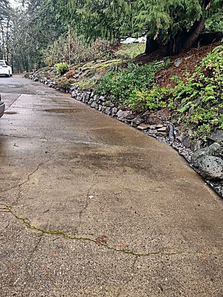 A concrete sidewalk with cracks, next to a sloped landscaped area with rocks and green plants, with trees and parked cars in the background.