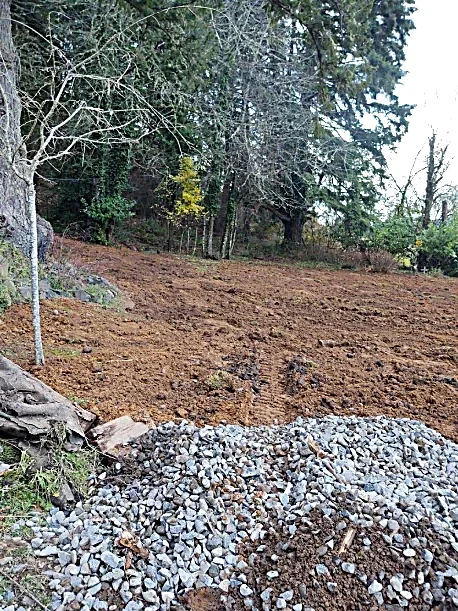 A landscaped area with a patch of dirt, trees, and rocks in a wooded outdoor setting.