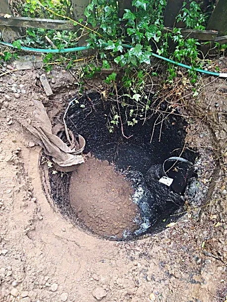 A freshly dug hole in the ground with a portion filled with dark soil and a watering hose nearby. Green plants and vegetation surround the area.