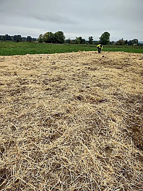 A person in yellow and black safety gear working on a field covered with straw, with green grass and trees in the background under a cloudy sky.