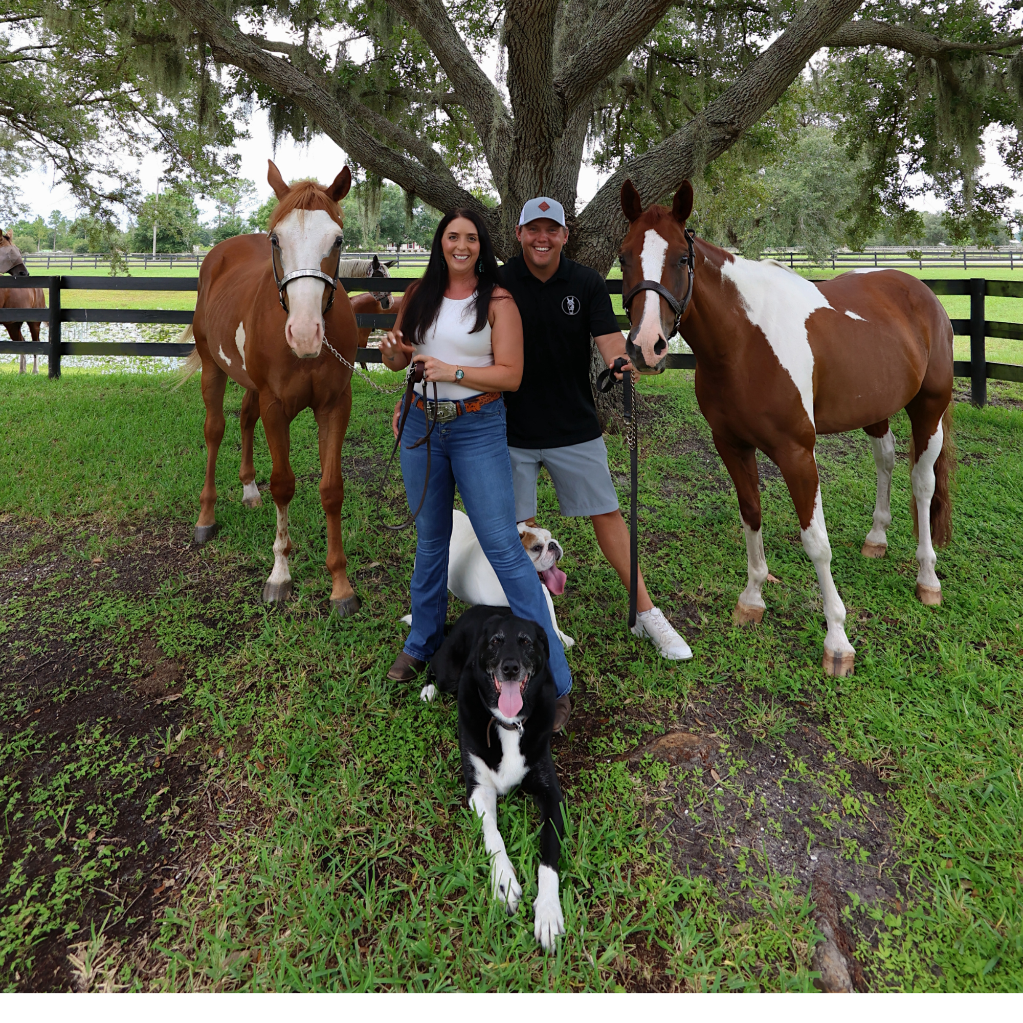 Two horses, a woman, a man, and a dog under a large tree in a fenced grassy area. The woman is smiling, wearing a white top and blue jeans, and the man is wearing a black shirt and a gray cap. The two horses are brown and white, and the dog is black and white with its tongue hanging out.