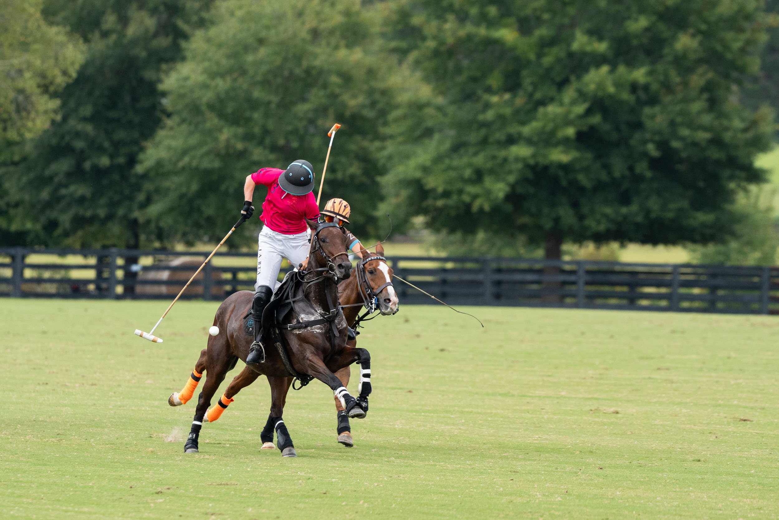 Polo players on horseback competing on a grassy field, with one player swinging a mallet at the ball.