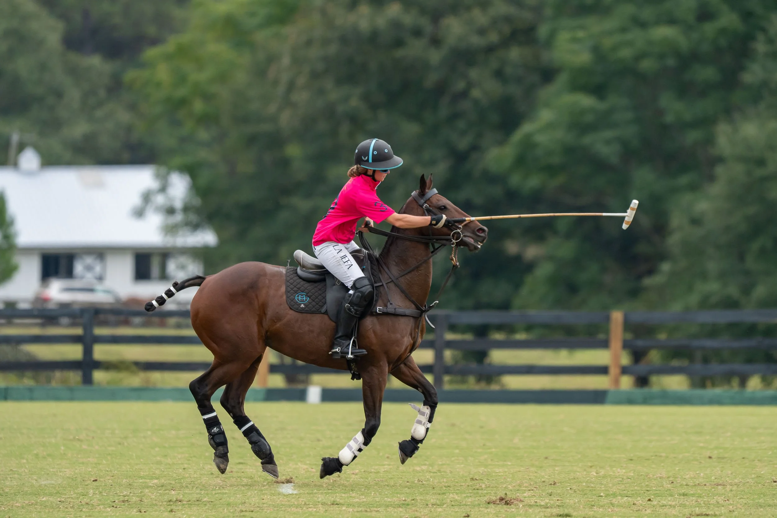 Polo player in a bright pink shirt riding a galloping horse and swinging a mallet on a grassy field