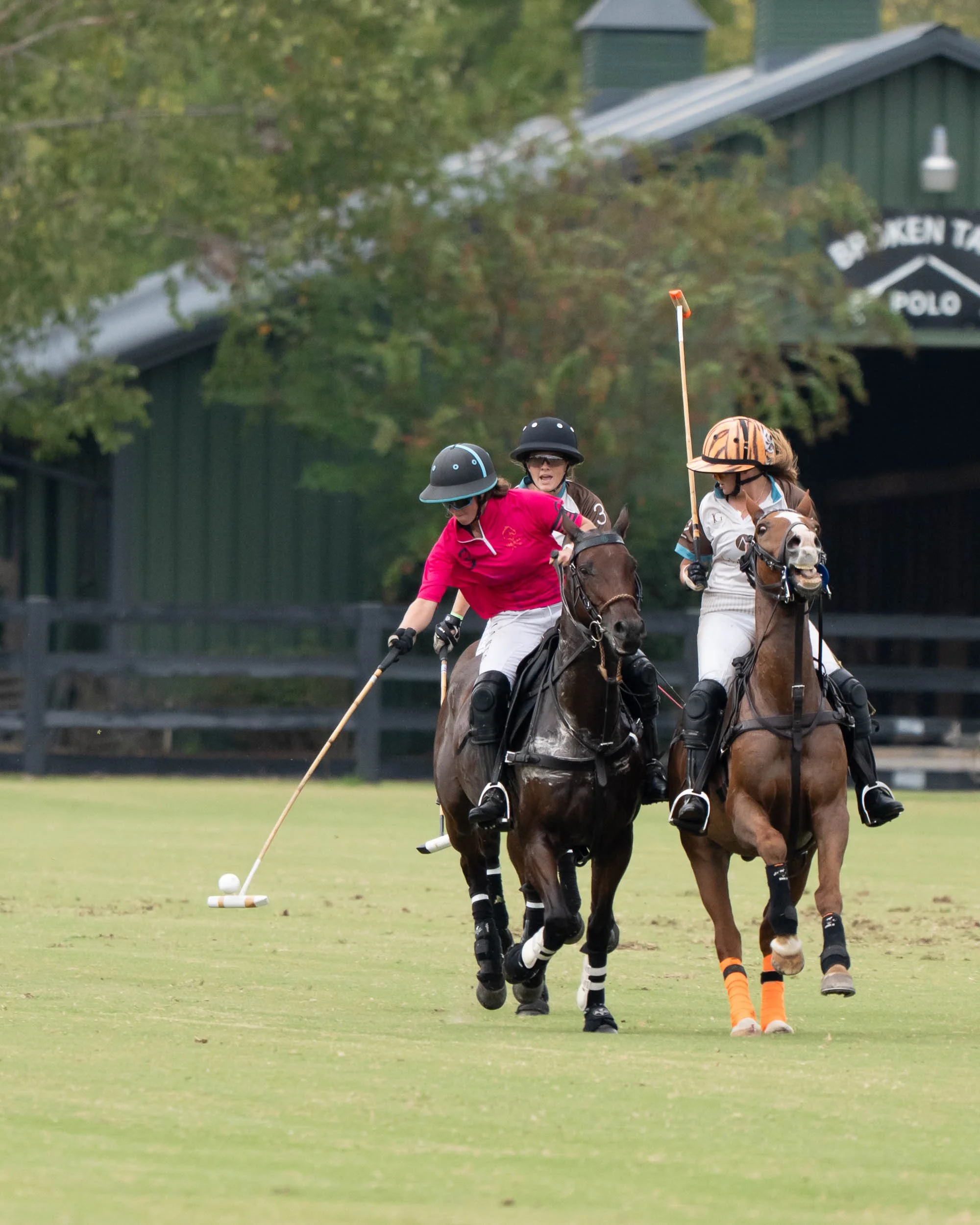 Polo players on horseback competing on a grass field, with one player striking the ball using a mallet.