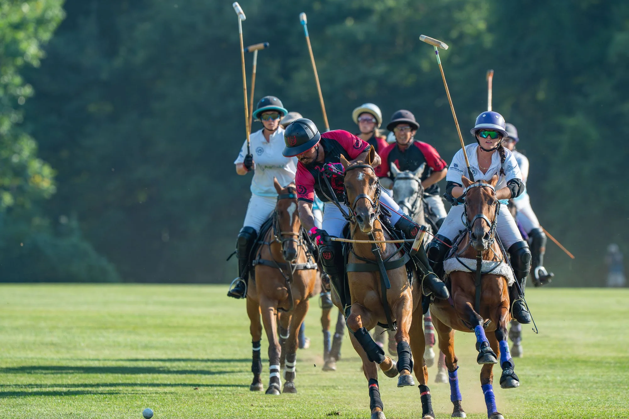 Equestrian polo players riding horses on a green field during a polo match, with some players holding mallets.