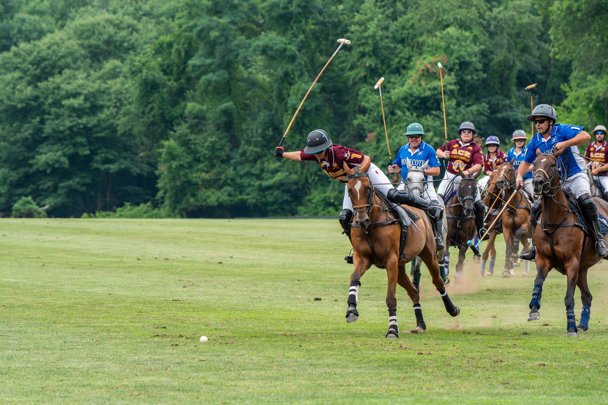 A group of polo players riding horses on a grassy field, with the main player in red reaching towards the ball, wearing helmets and team uniforms, and holding polo mallets, surrounded by other players in blue and maroon uniforms, with a lush green fo
