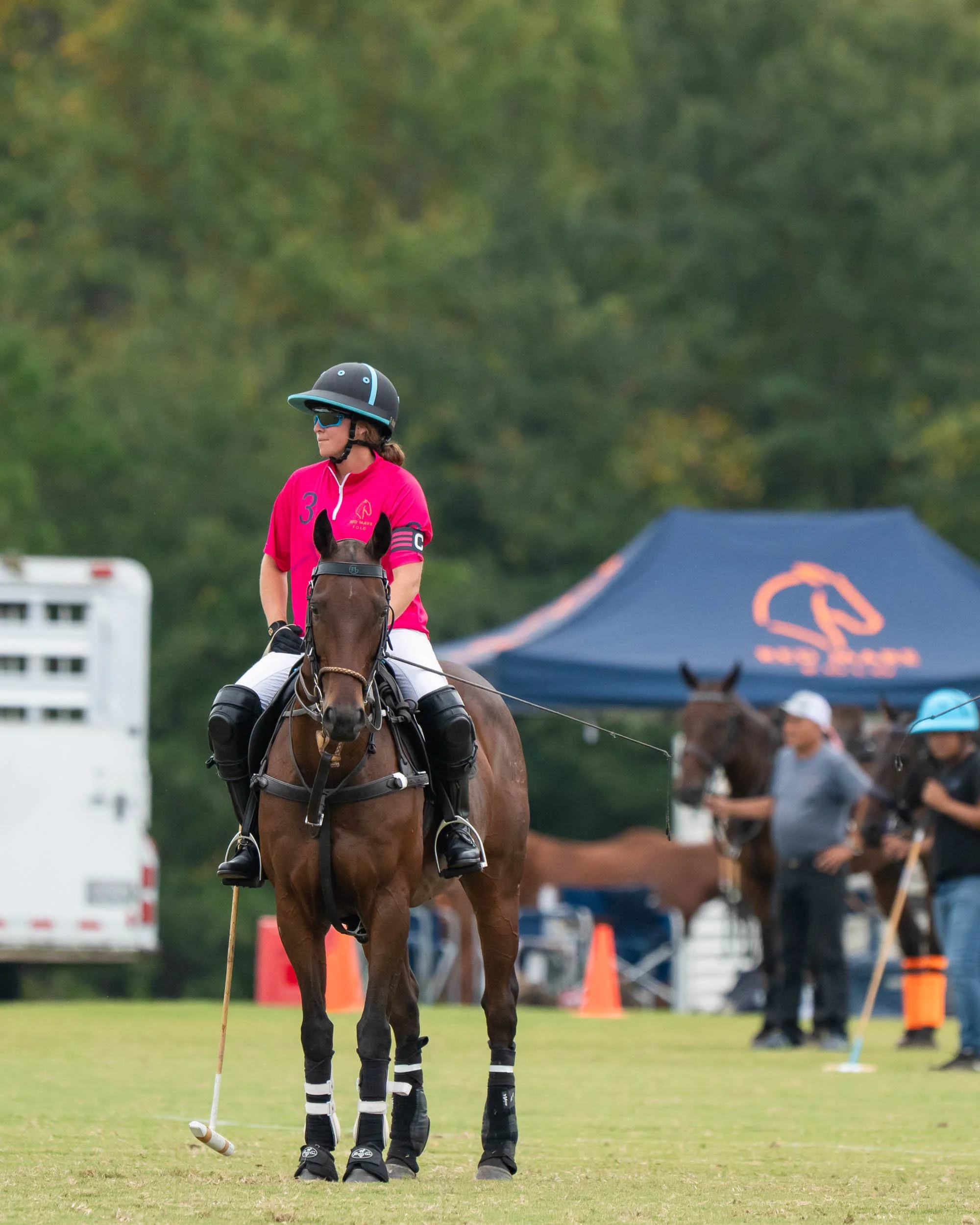 Polo player in a pink jersey and helmet riding a brown horse on a grass field during a match.