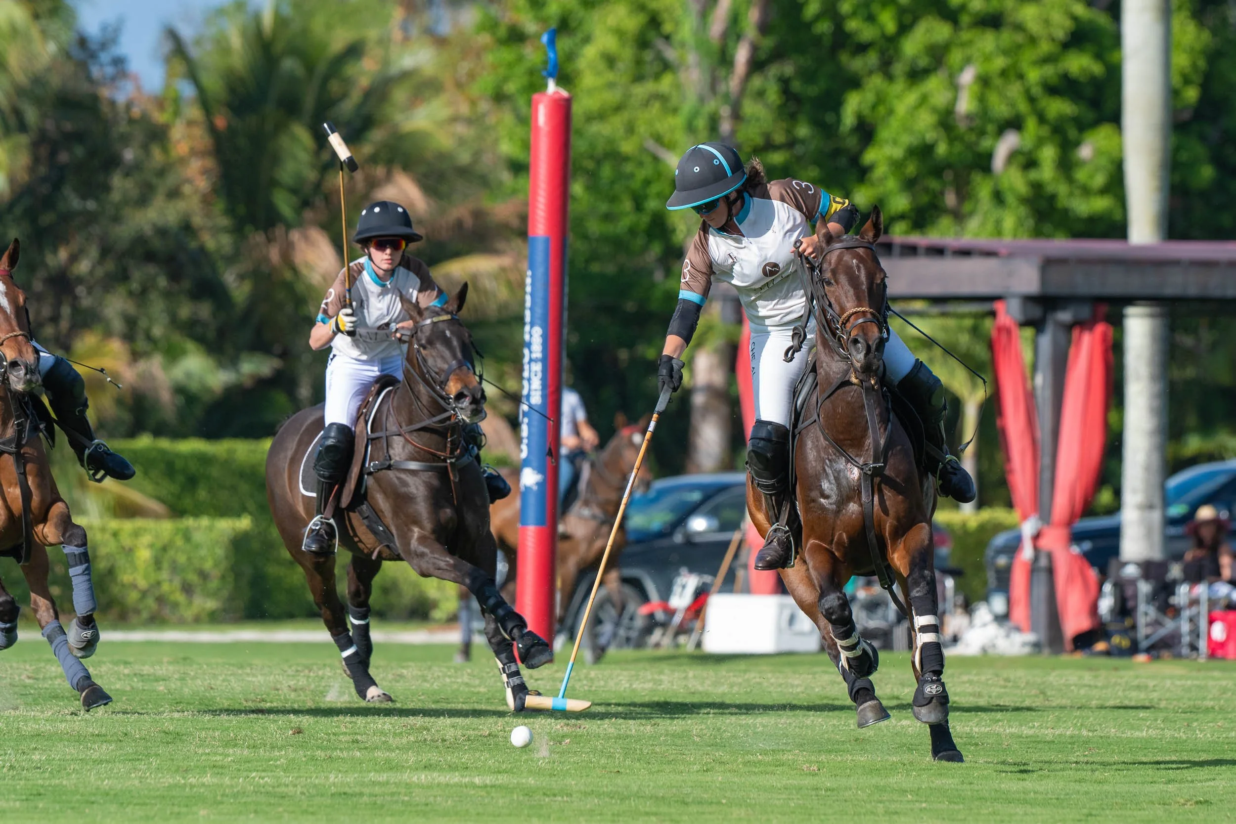 Two polo players on horseback competing for the ball in a polo match, with horses and greenery in the background.