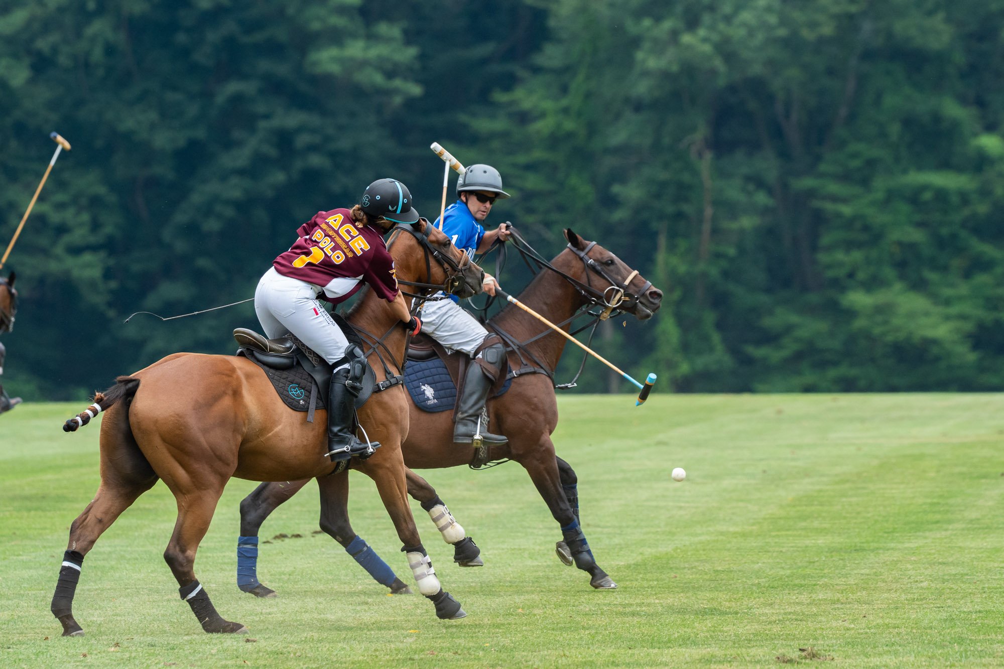 Two polo players on horseback competing for the ball during a polo match on a grassy field surrounded by trees.