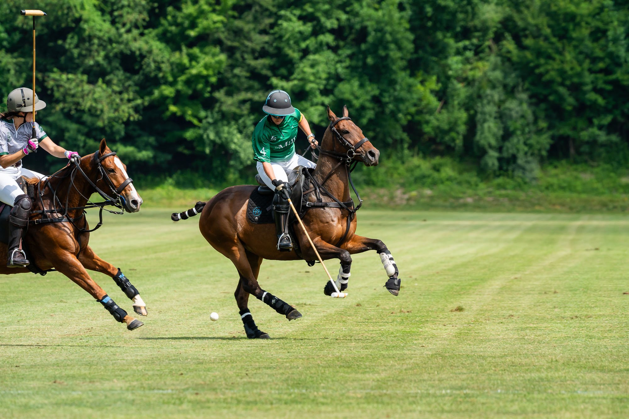 Two polo players riding horses on a grassy field, with one in green and the other in gray and pink, chasing a white polo ball. Humid, green trees in the background.