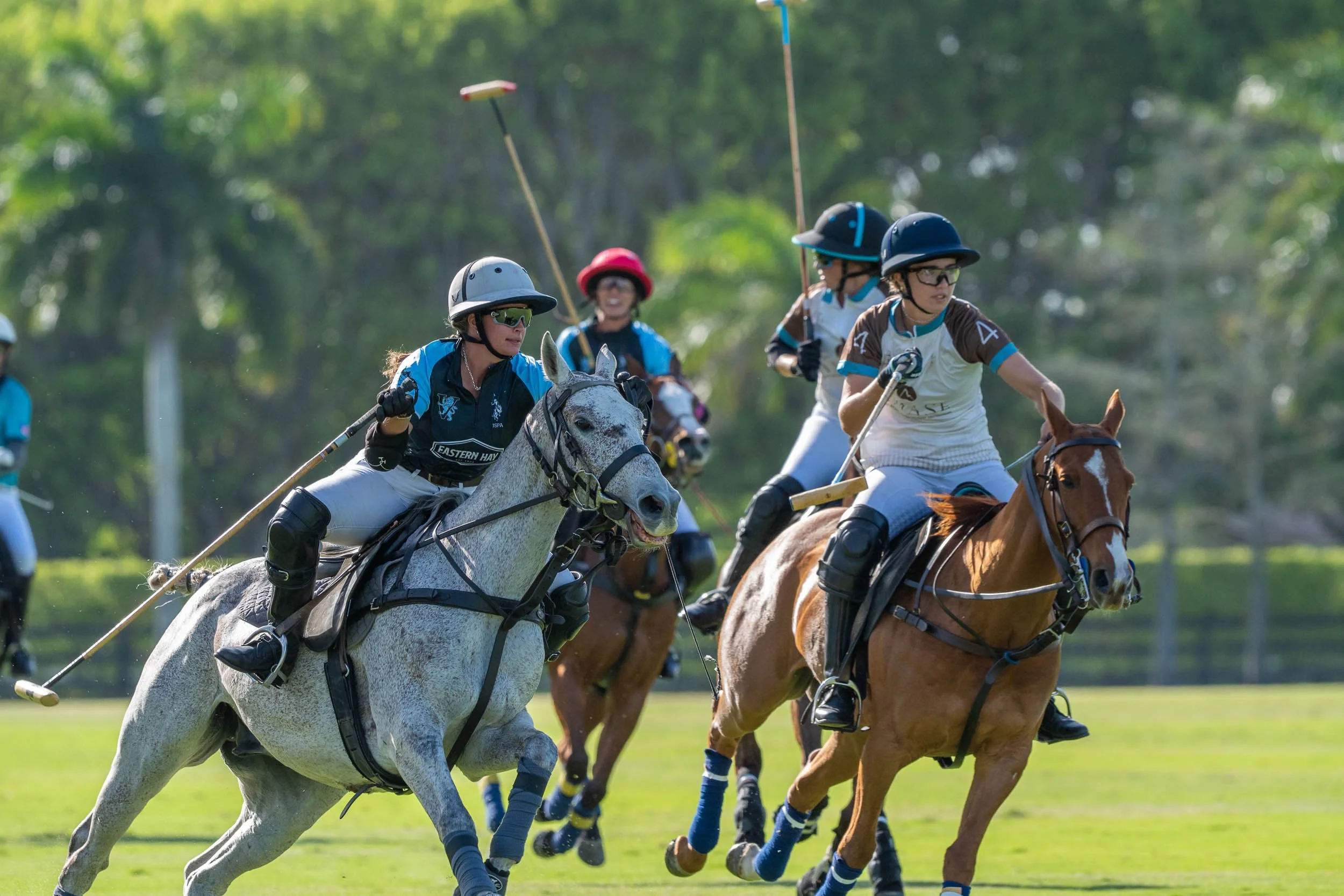 Women playing polo on horseback outdoors with lush green trees in the background.