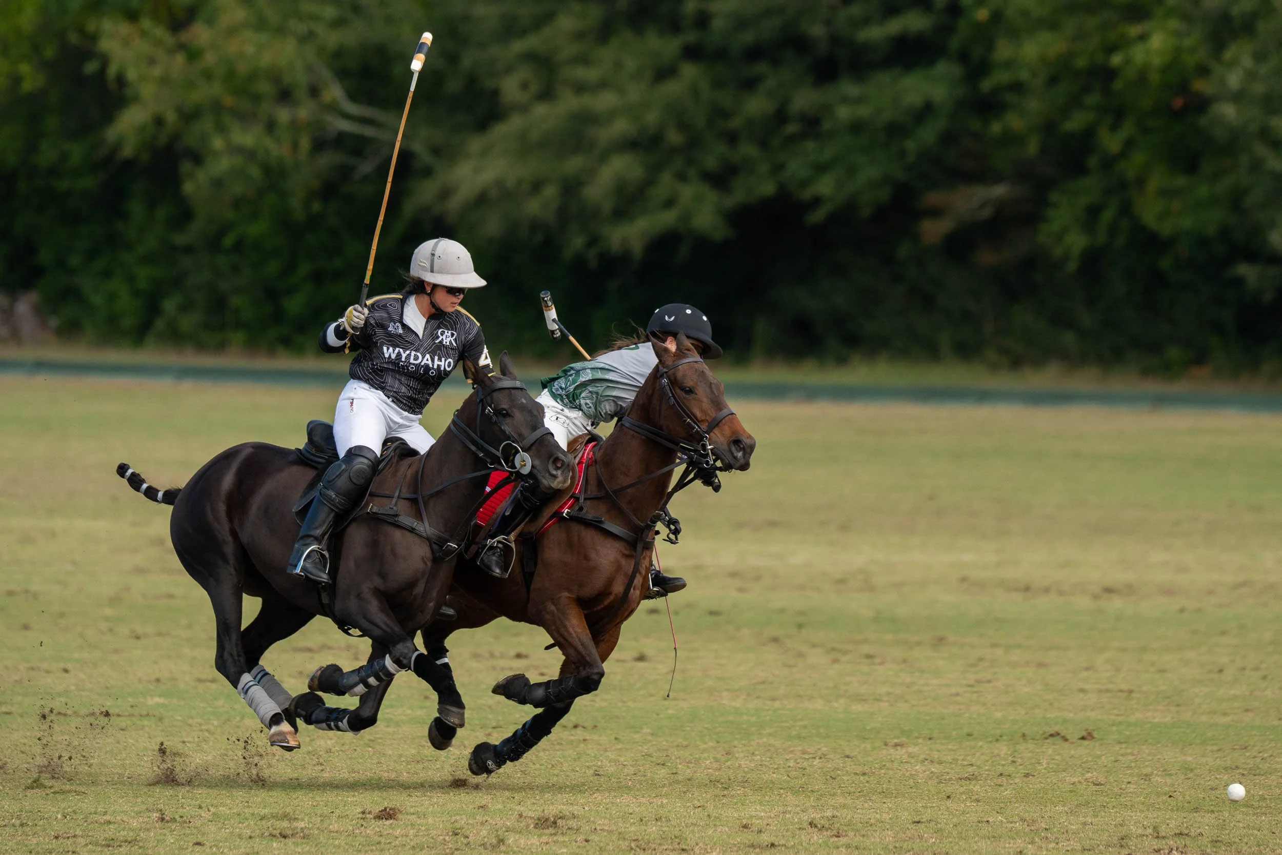 Two polo players riding horses and competing for the ball on a grassy field.