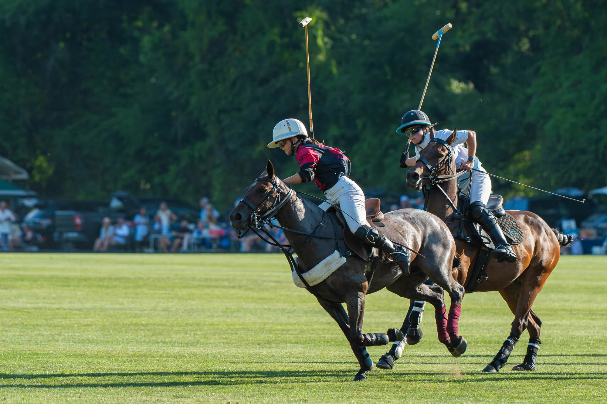 Two polo players on horseback competing for the ball in a polo match, with spectators and cars in the background.