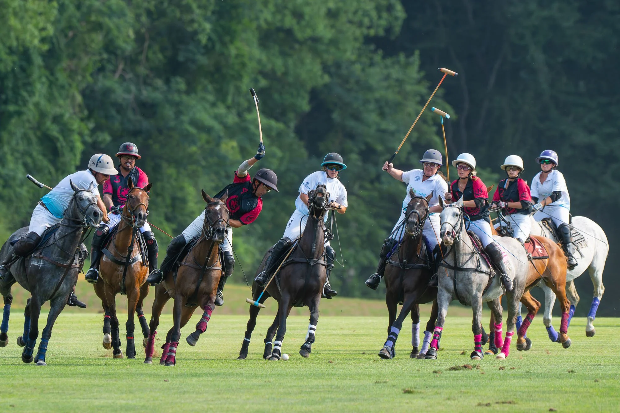 Group of people playing polo on horseback in a grassy field, wearing helmets and sports gear, with trees in the background.