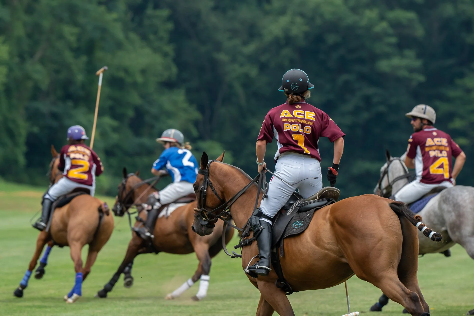 A polo match with players on horseback wearing numbered jerseys, helmets, and riding gear on a grassy field with trees in the background.
