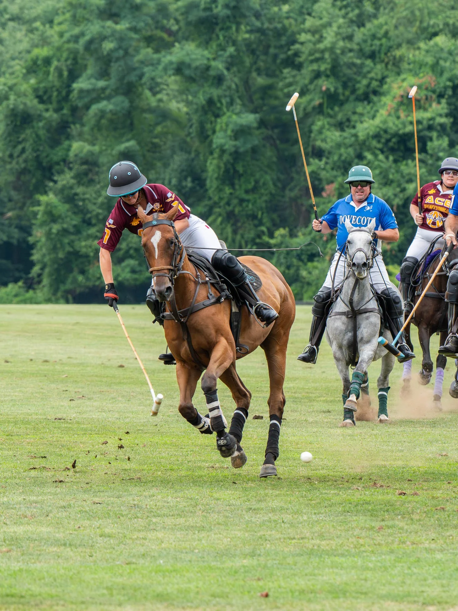 Lacrosse players riding horses on a grassy field, preparing to hit a lacrosse ball with sticks.