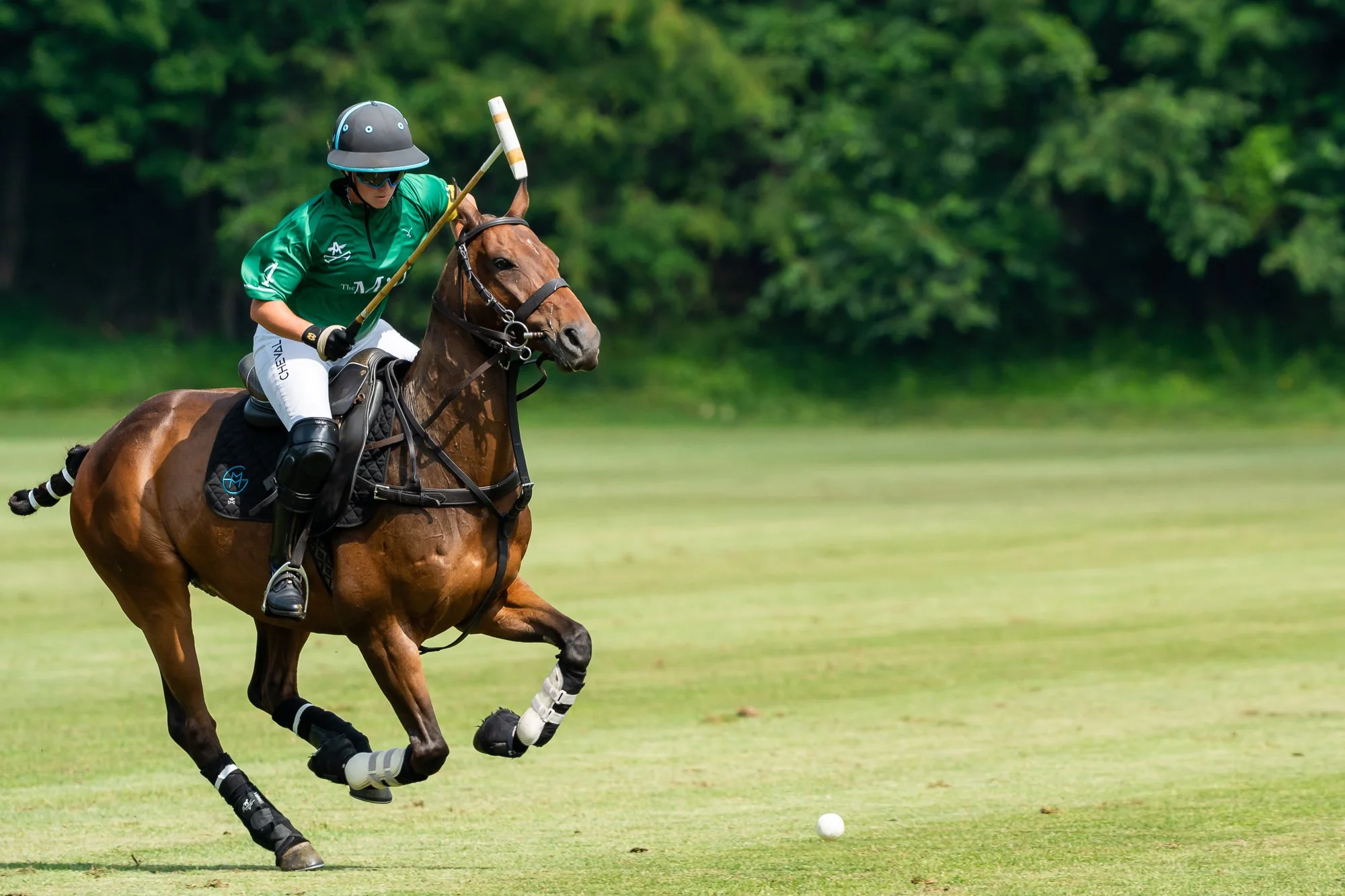 A polo player wearing a green jersey, protective helmet, and goggles riding a brown horse on a polo field during a game. The player is holding a mallet, aiming at a white polo ball on the grass with a dense green forest in the background.