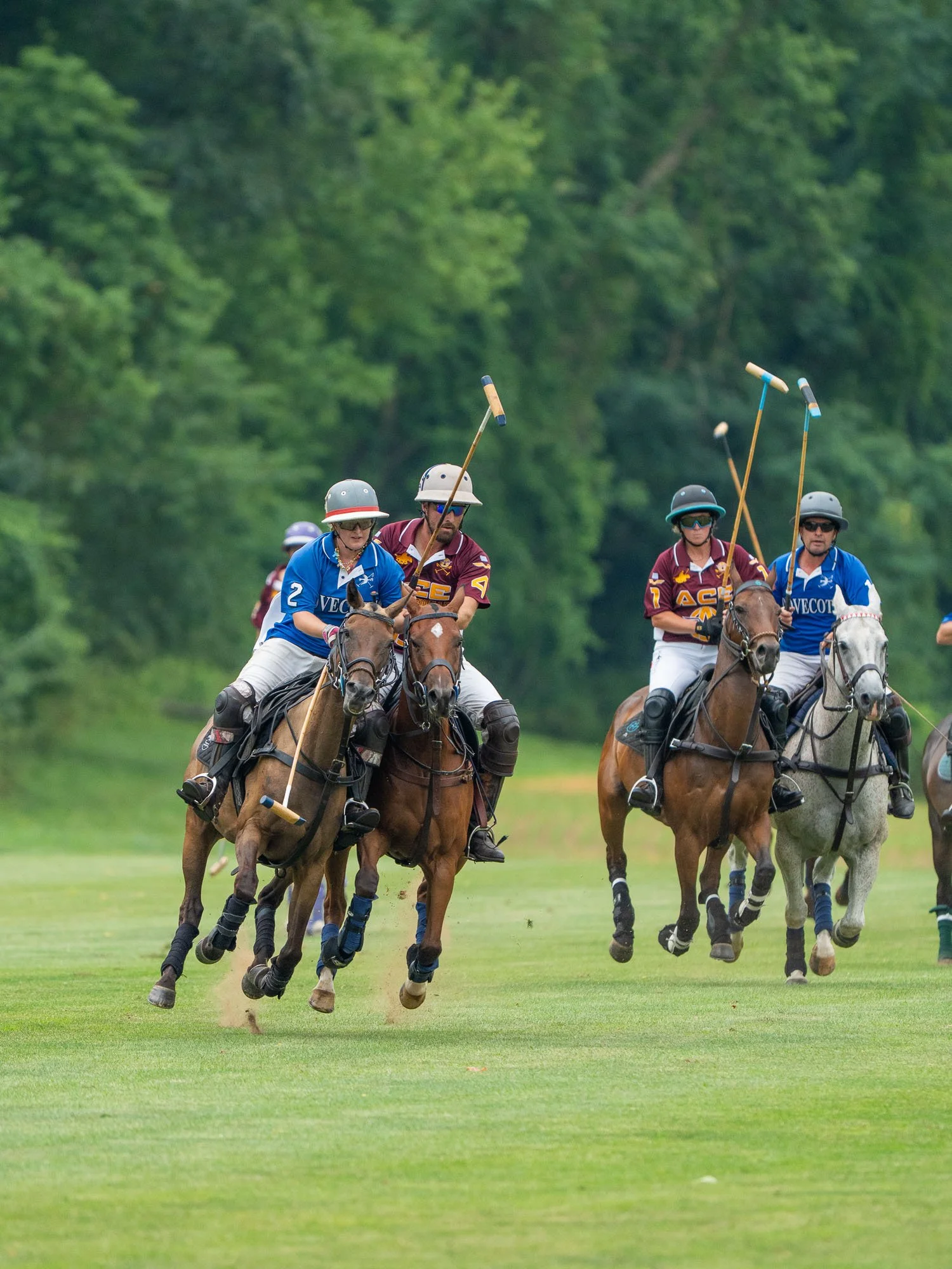 Horses and riders participating in a polo match on a grassy field with lush green trees in the background.