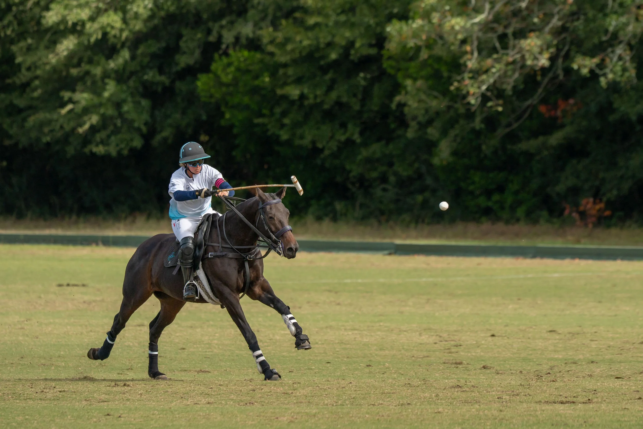Polo player on horseback swinging a mallet at a ball on a grassy field
