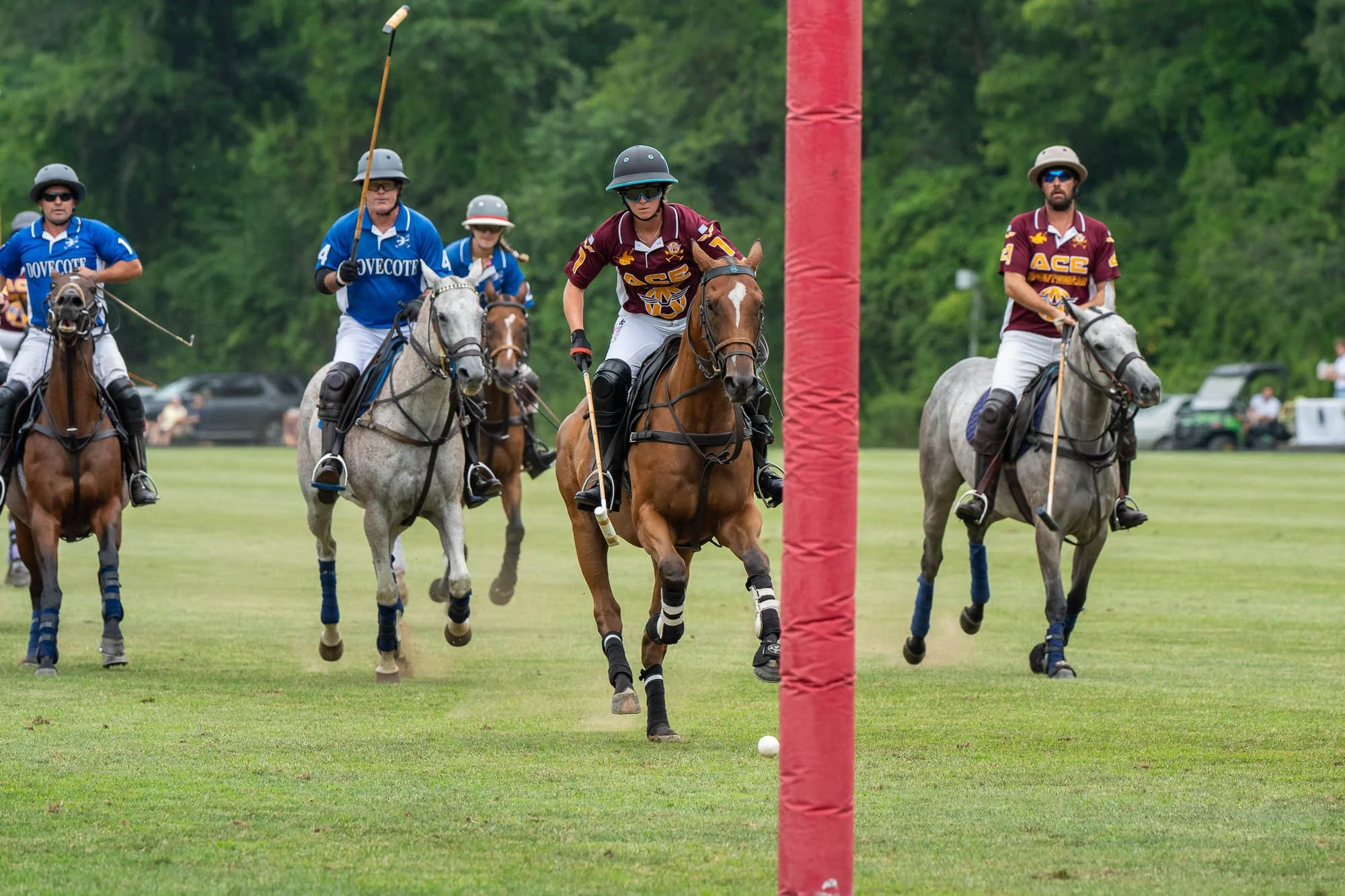 A group of polo players on horseback, wearing helmets and team uniforms, chasing a white polo ball across a grassy field with a red goal post in the foreground.