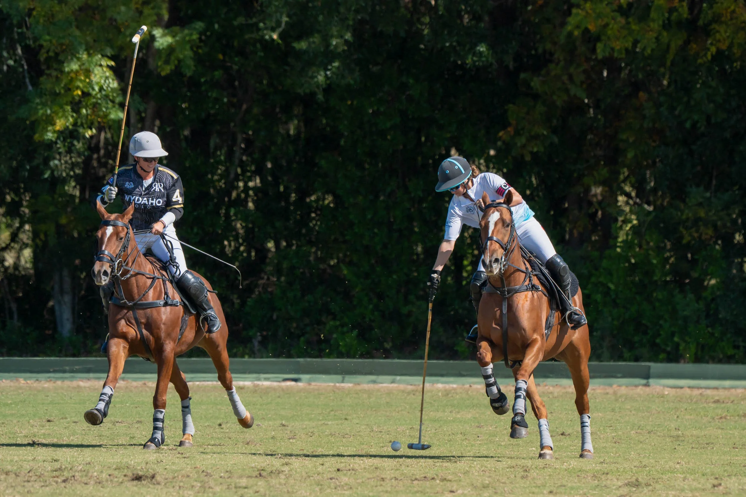 Two polo players on horseback competing on a grassy field, with a mallet and ball between them.