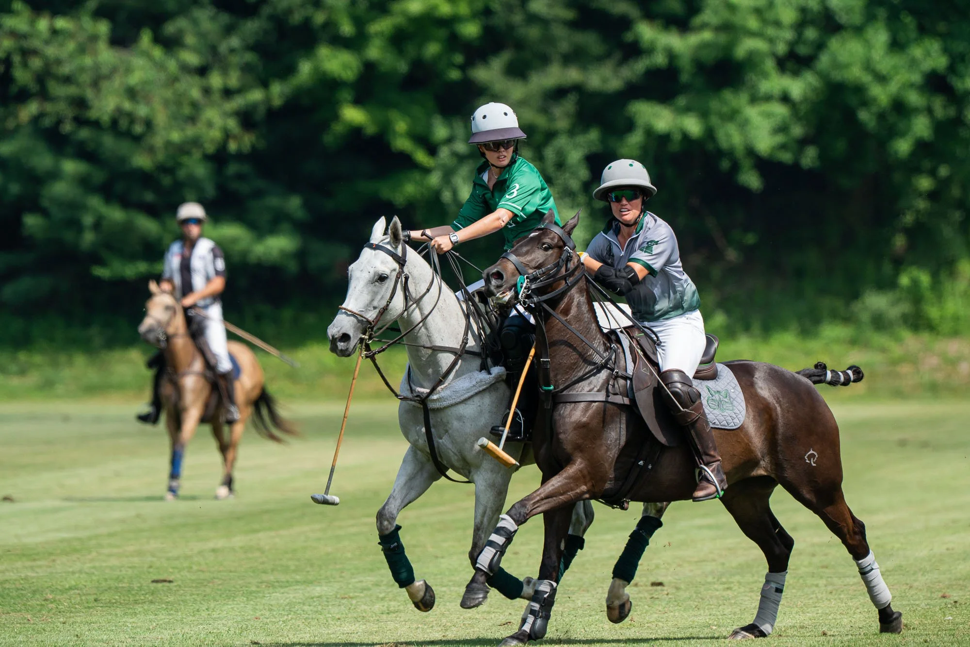 Three polo players riding horses and hitting a ball on a grassy field with trees in the background.