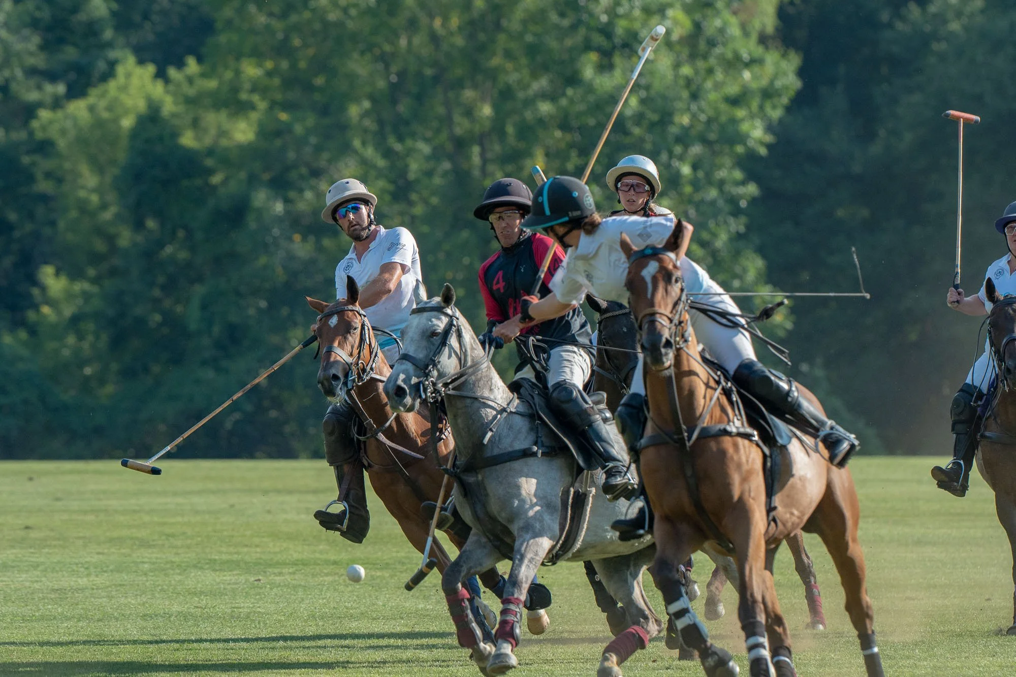 Four polo players on horseback competing for a white polo ball on a grassy field with trees in the background.