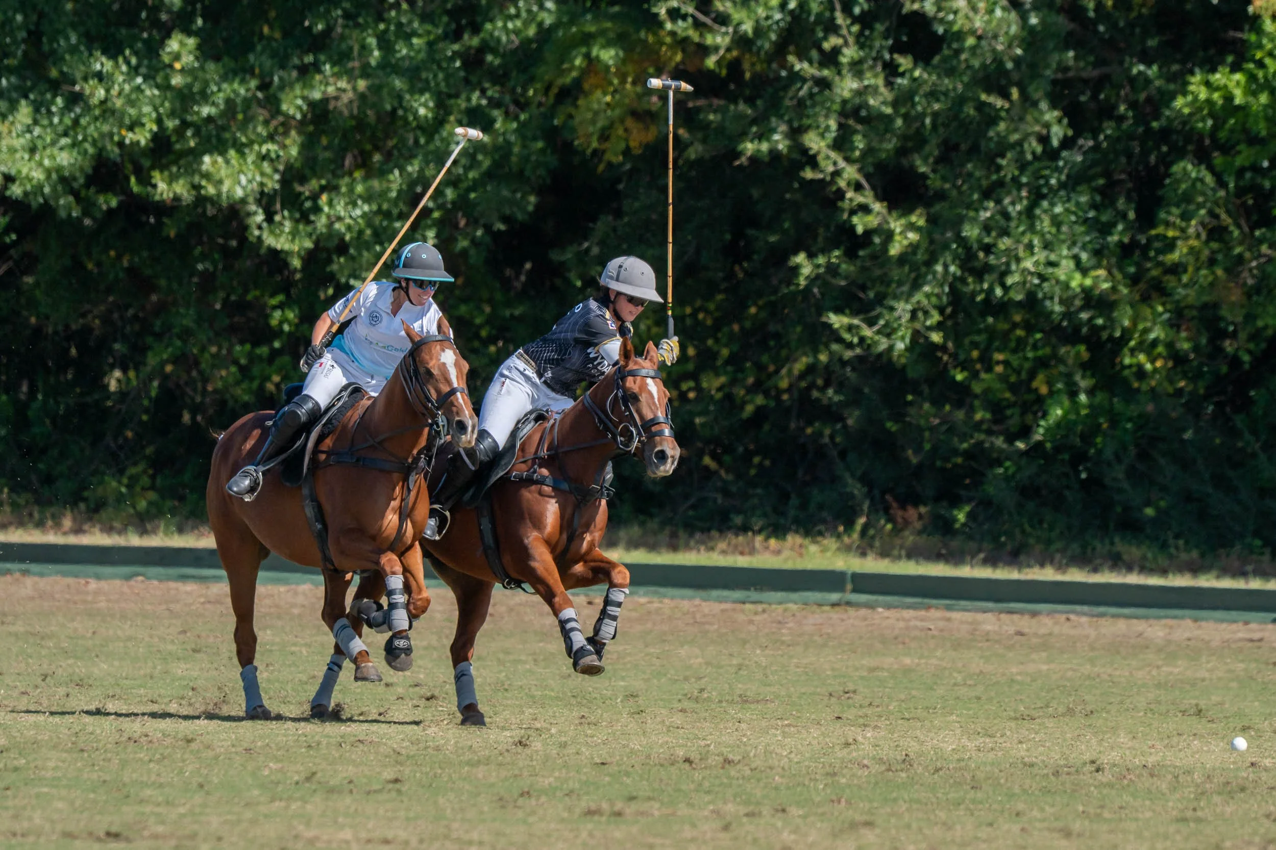 Two polo players riding horses and reaching for the ball on a grassy polo field.
