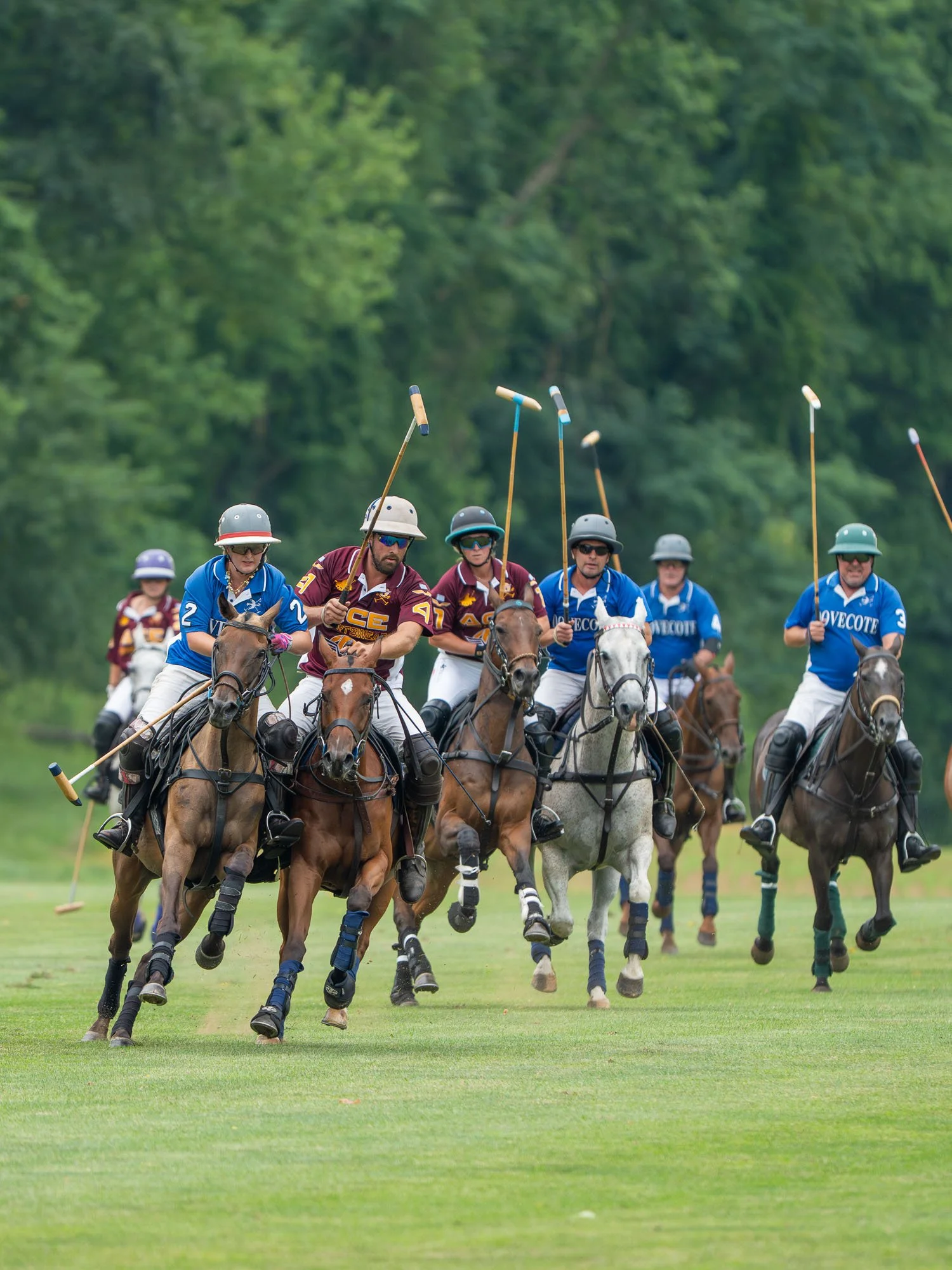A group of men playing polo on horseback on a grassy field, with trees in the background.