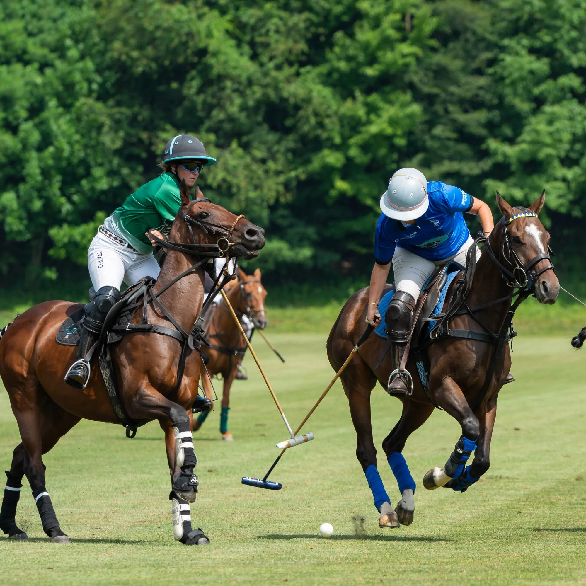 Two polo players on horseback competing for the ball on a grassy field, surrounded by trees.