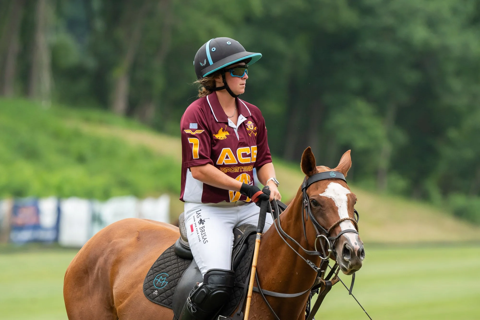 A woman riding a brown horse with a white face marking in an outdoor setting. She is wearing a maroon polo shirt with and a logo, a black helmet with blue accents, sunglasses, and white riding pants. The background is blurred greenery with trees.