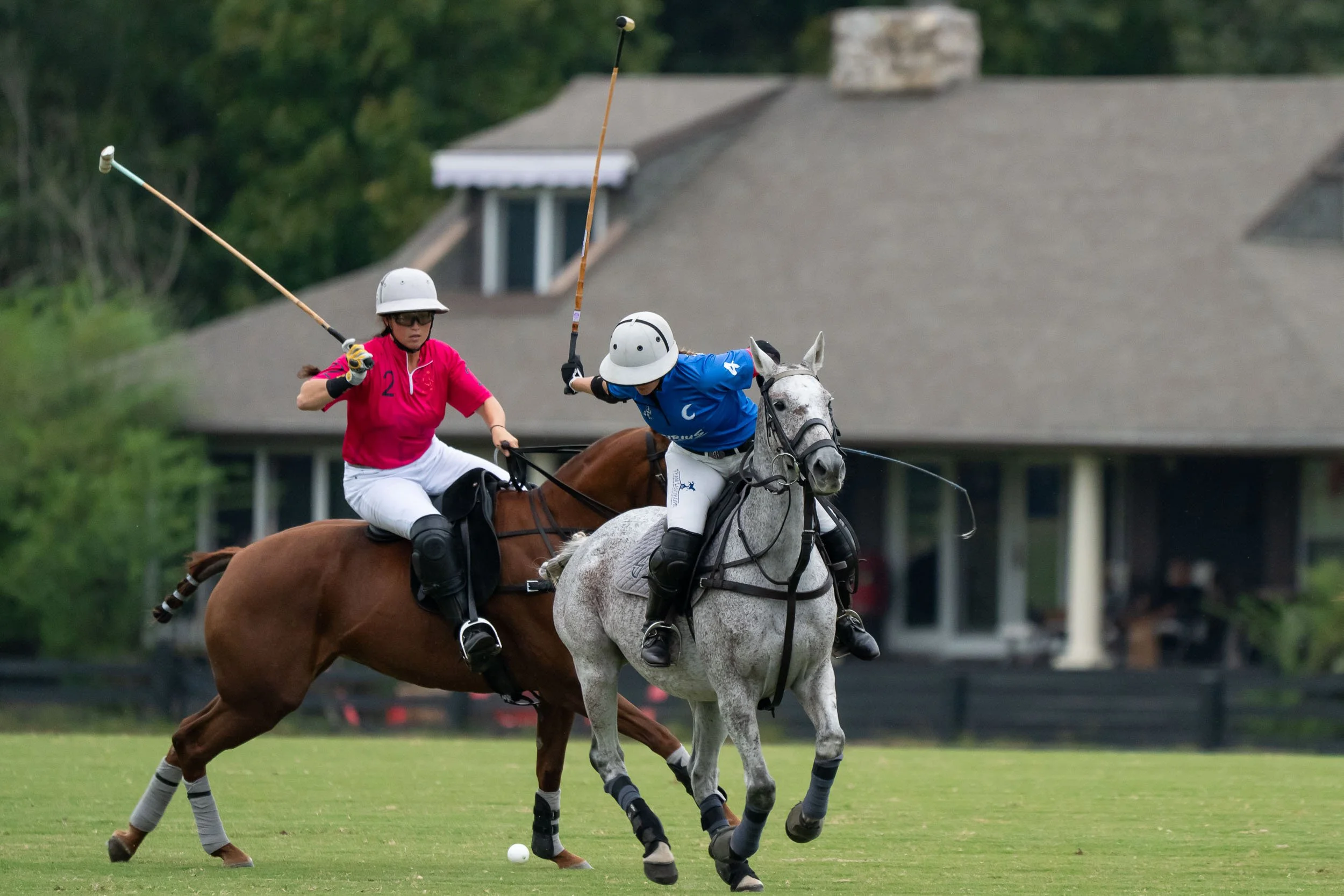 Two polo players in helmets and protective gear compete on horseback for the ball on a grass field.