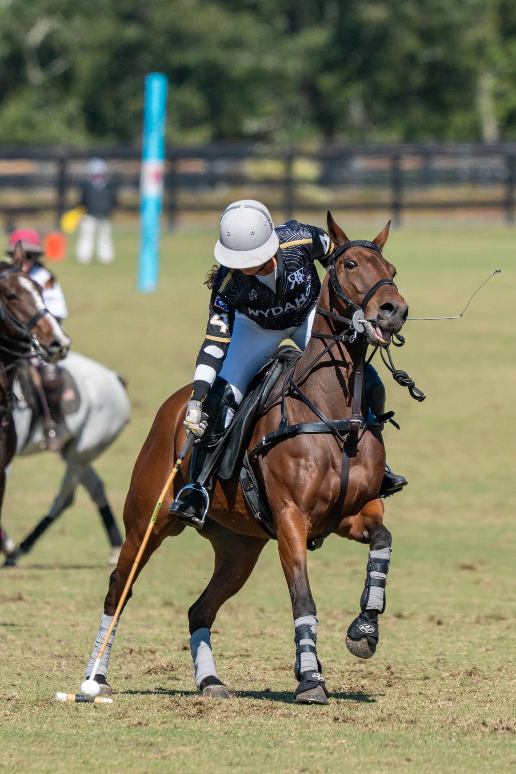 Polo player in a helmet riding a horse and swinging a mallet on a grass field