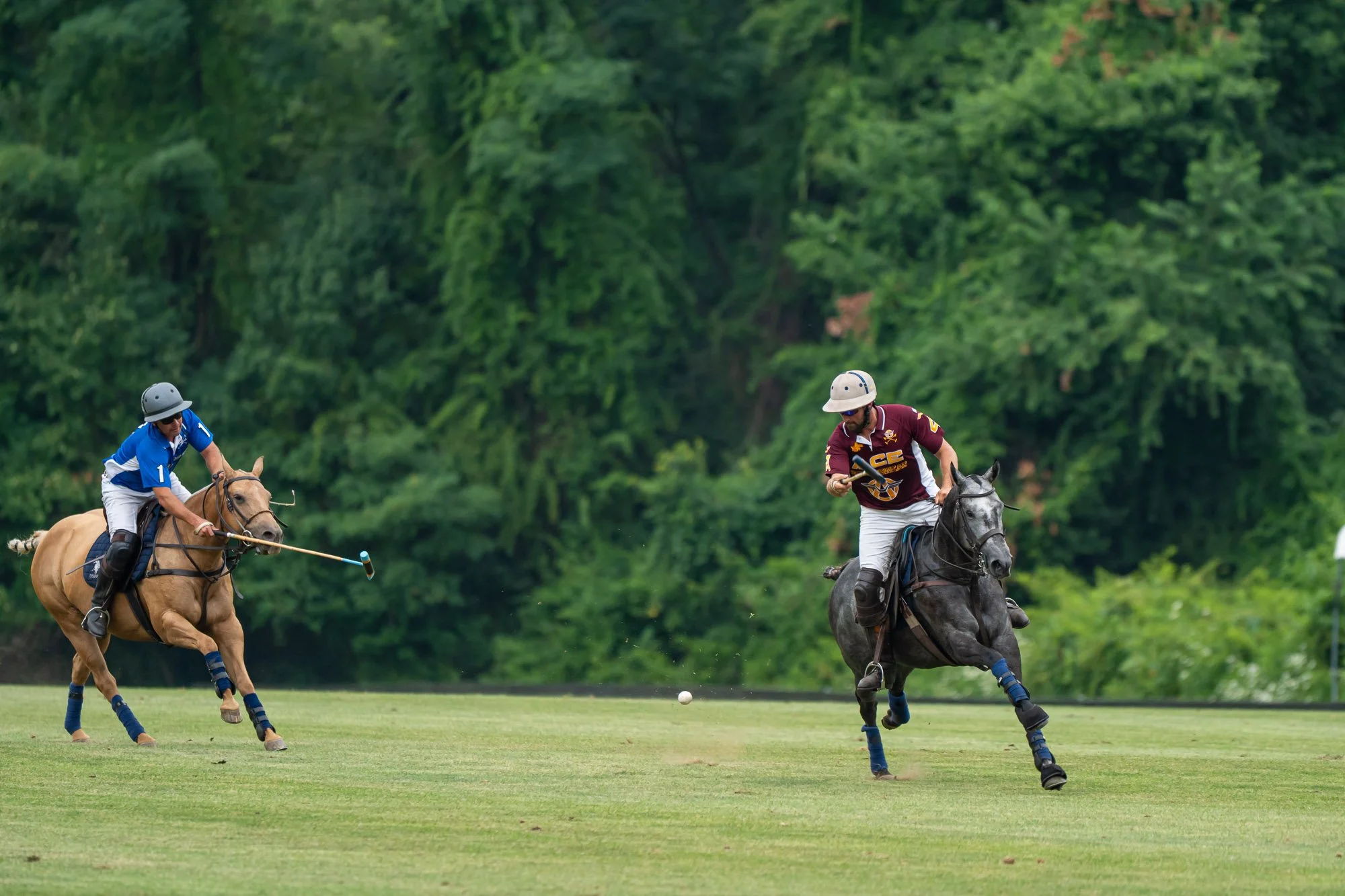 Two polo players on horseback competing for the ball. One player is wearing a blue shirt and the other in maroon with white pants, both wearing helmets and protective gear, on a grassy field with trees in the background.