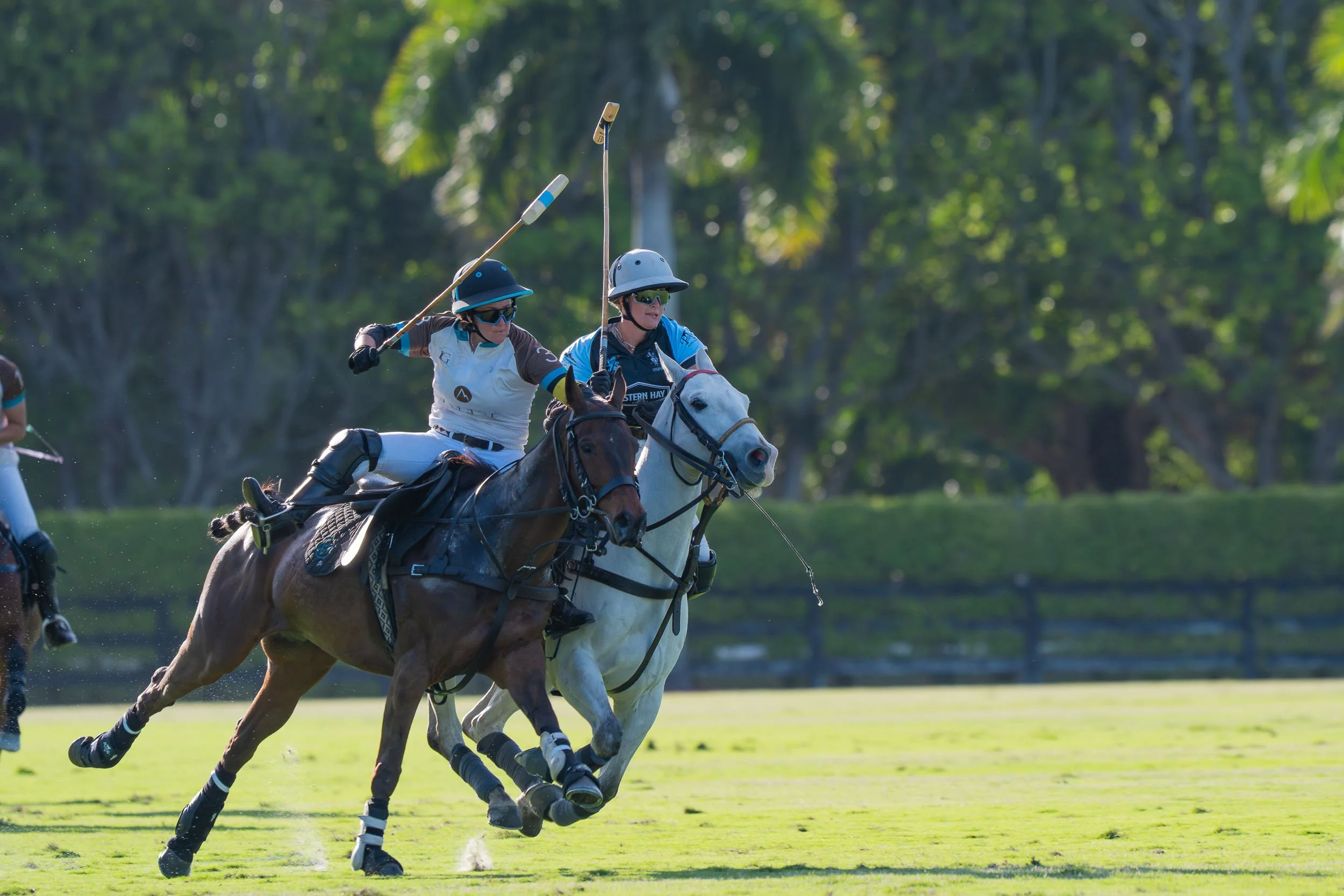 Two polo players riding horses and competing for the ball during a polo match, with a green background of trees.