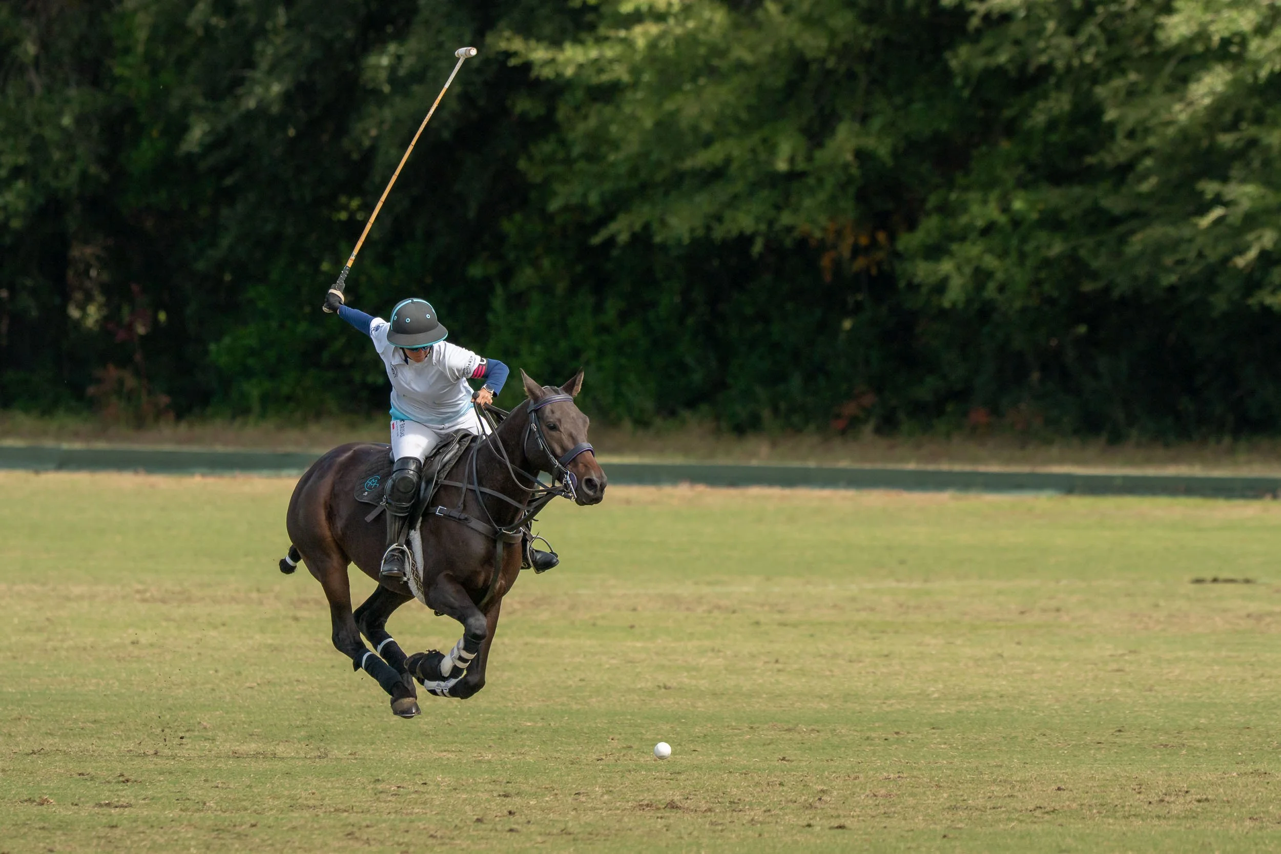 Polo player on horseback swinging a mallet at a ball on a grass field