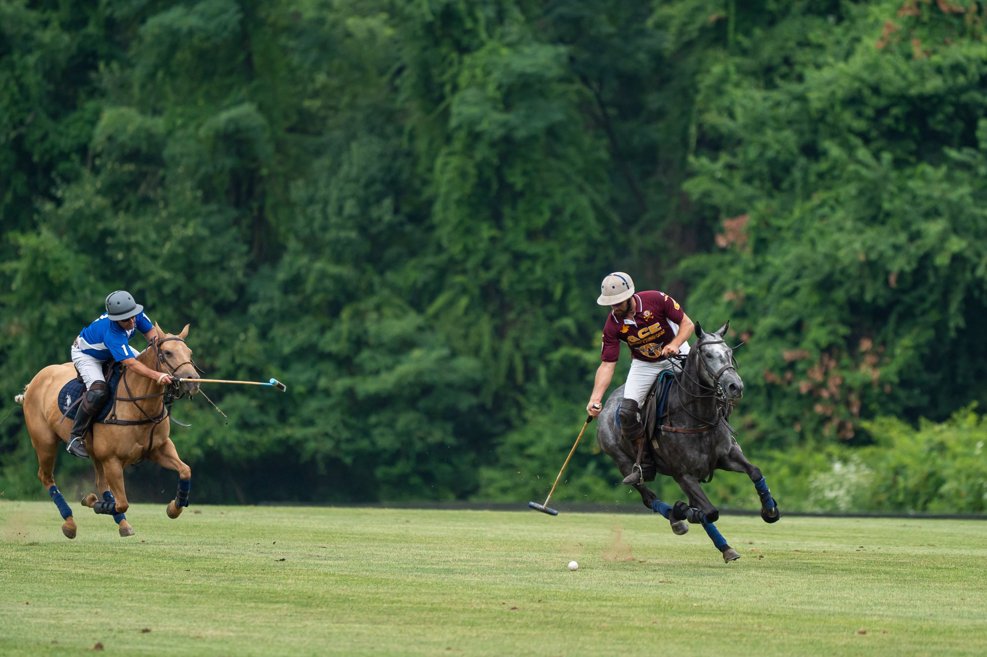 Two men riding horses and playing polo on a grassy field with a dense green forest in the background.