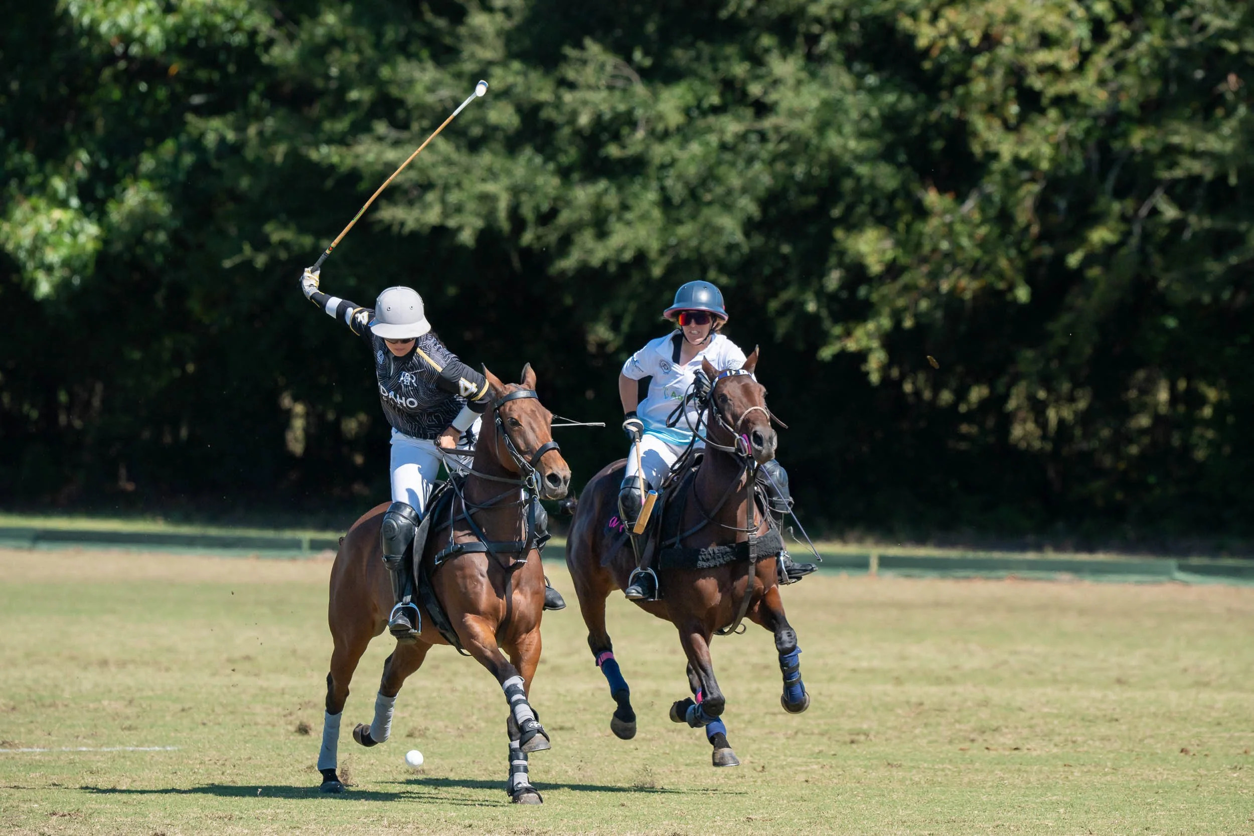 Two polo players on horseback competing for the ball on a grassy field