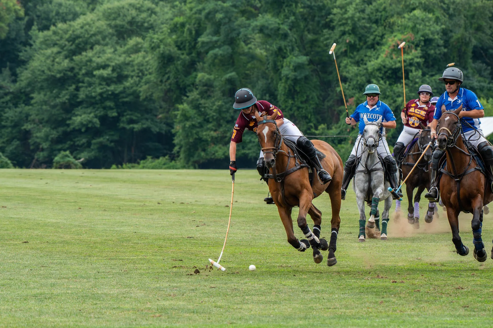 A group of people playing polo on horseback on a grassy field, with trees in the background.