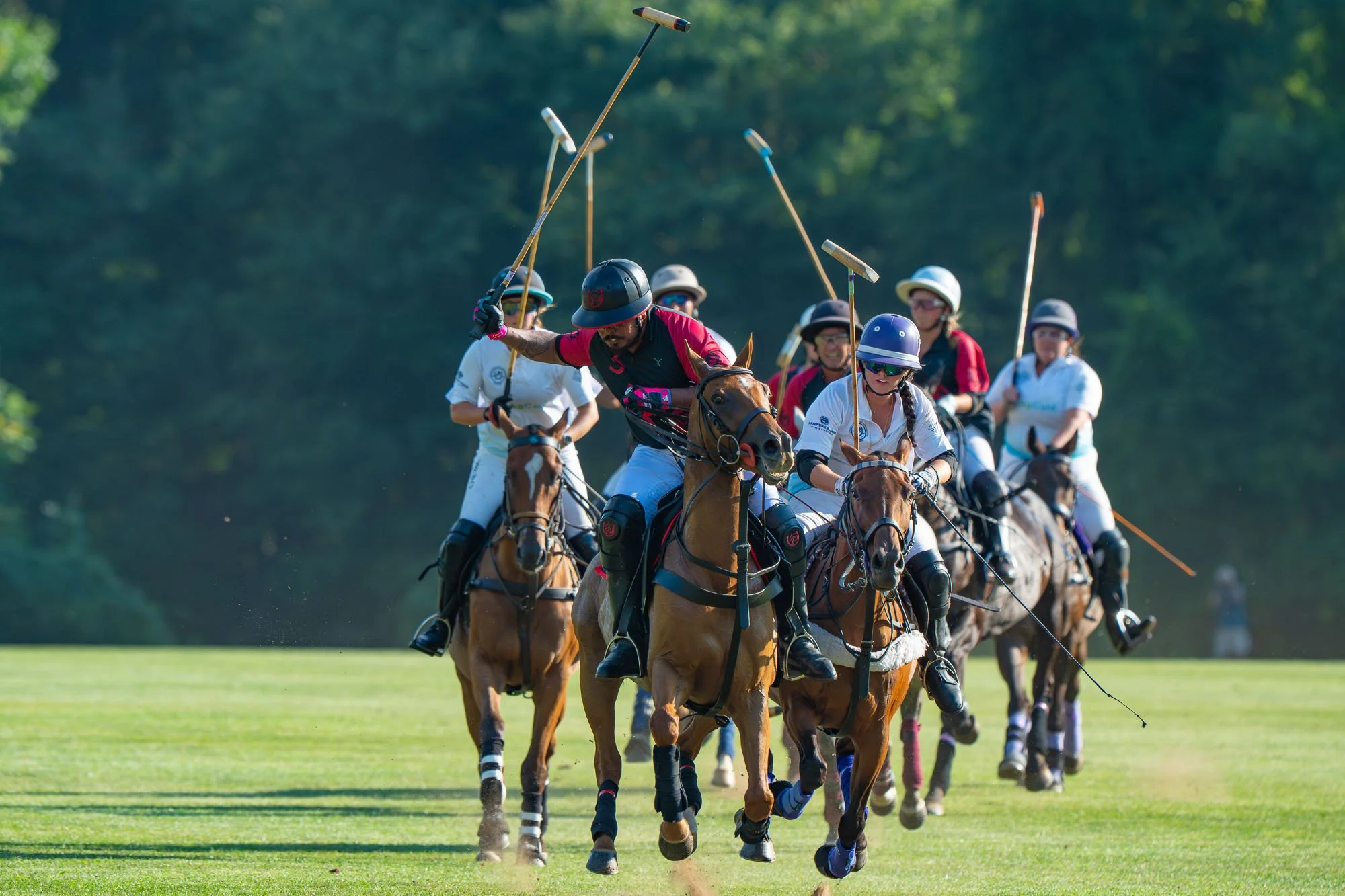 A group of polo players riding horses on a polo field, with some players raising their mallets in the air.